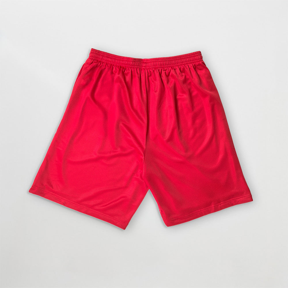 Billie Eilish - Hit Me Hard And Soft Mesh Shorts