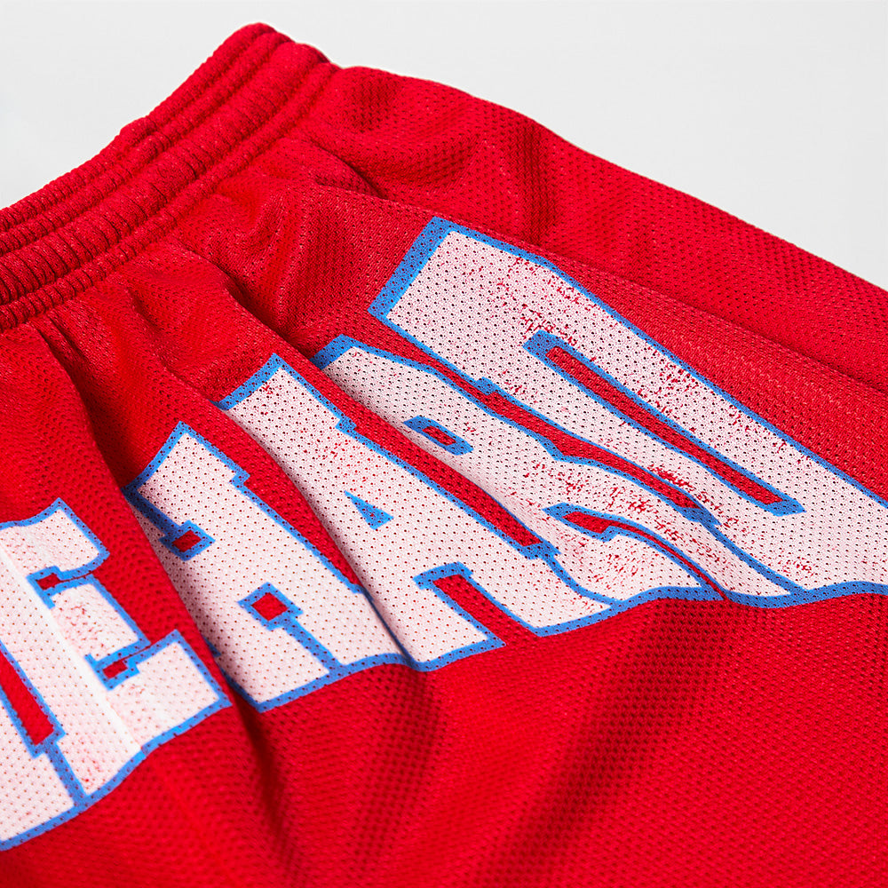 Billie Eilish - Hit Me Hard And Soft Mesh Shorts